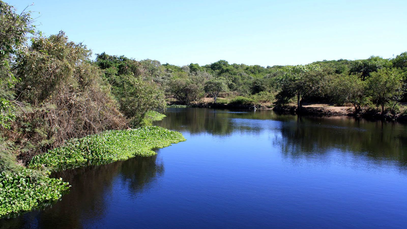 Laguna de Coyuca