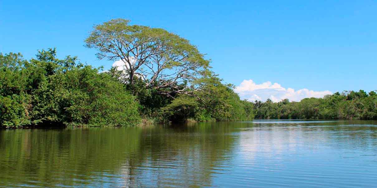 Laguna de Tres Palos 