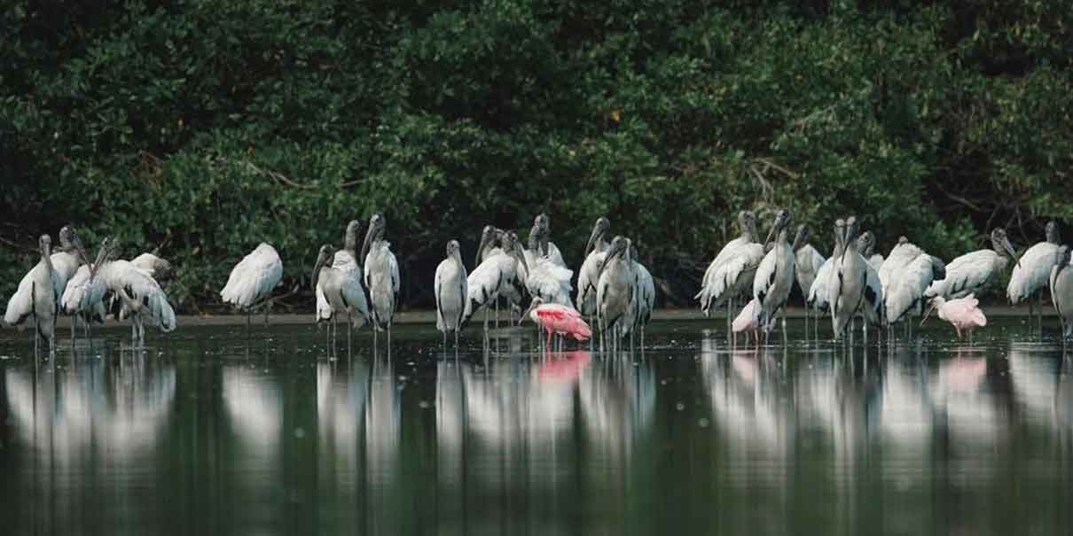 Laguna de Tres Palos 