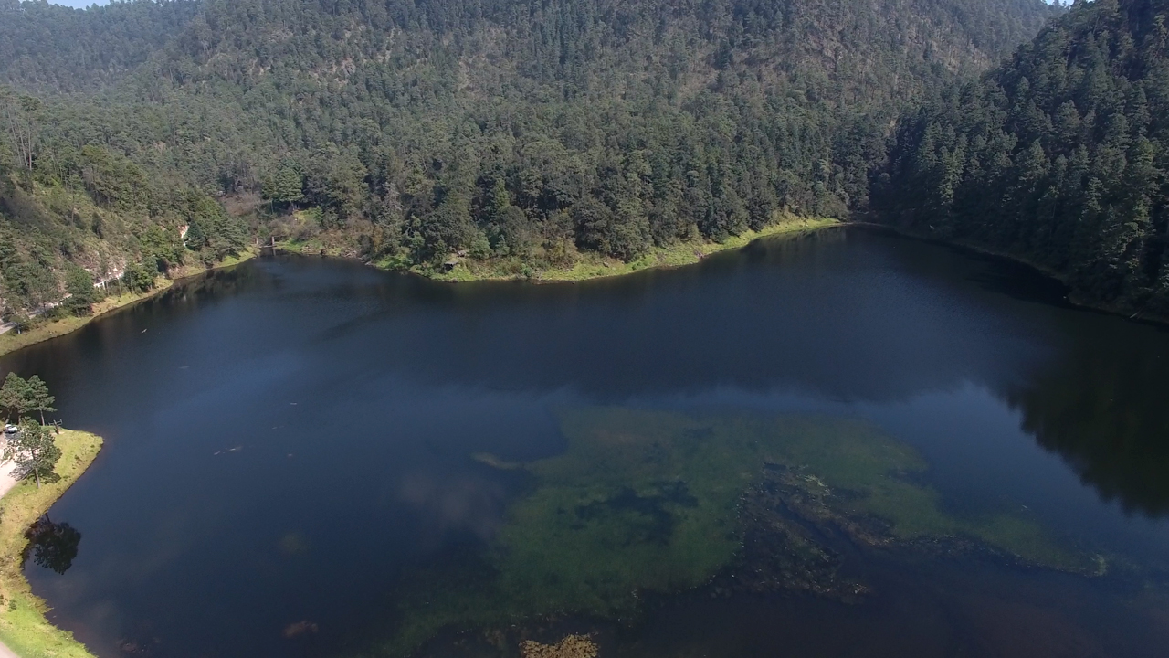 Laguna