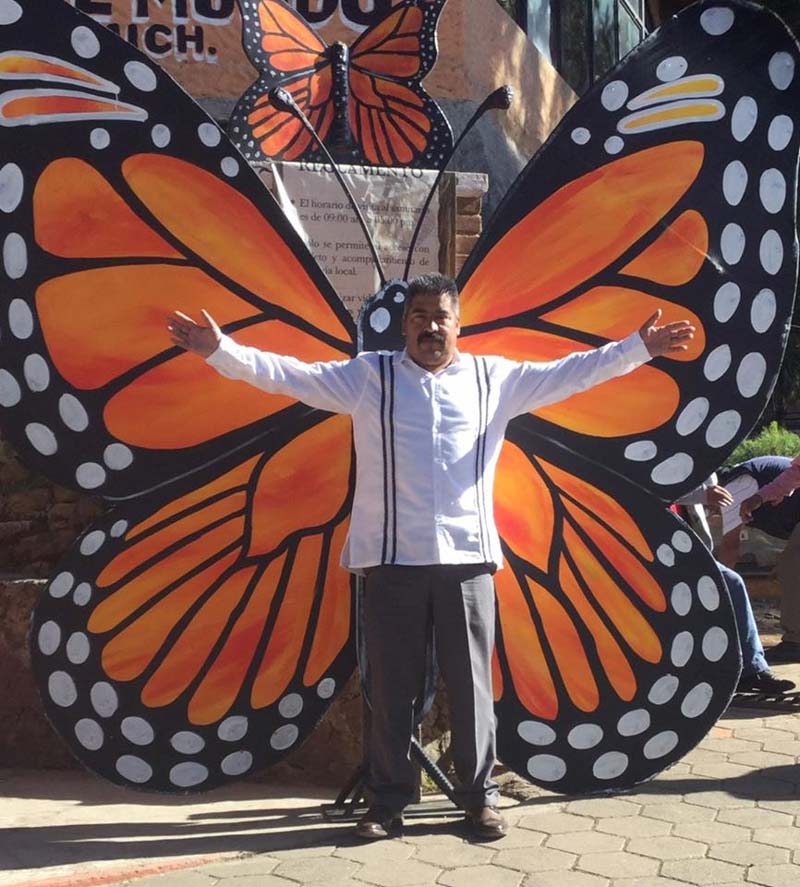 Llega a Michoacán la primera mariposa monarca rastreada por satélite