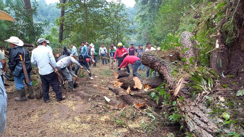 Lluvias dejan 66 fallecidos y 191 comunidades aisladas en cinco estados de México