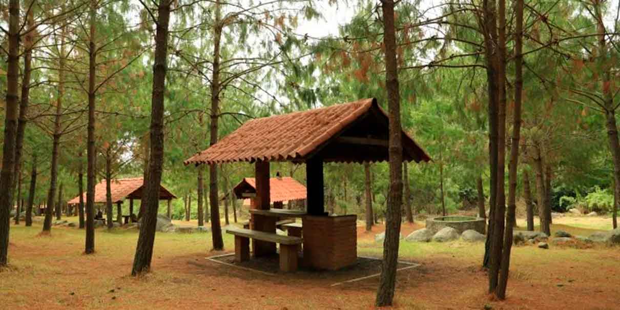 Santuario de las Luciérnagas en Amecameca