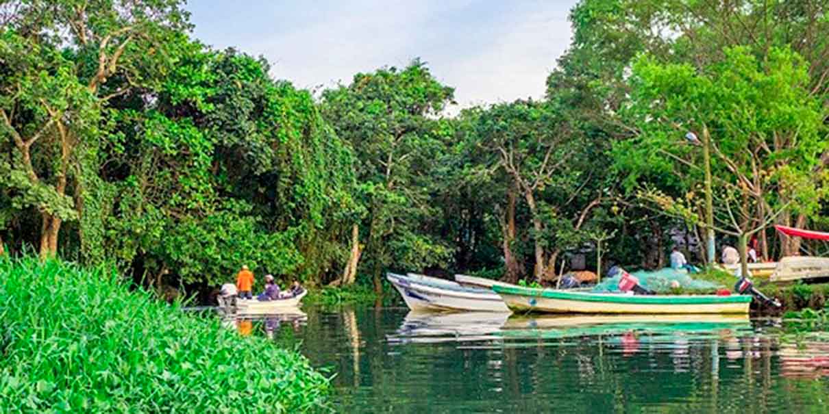 Manglares de Sontecomapan