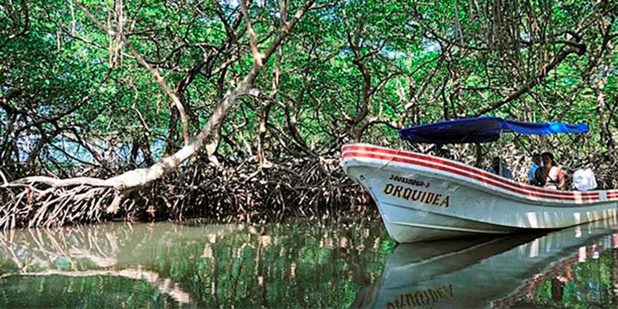 Manglares de Sontecomapan