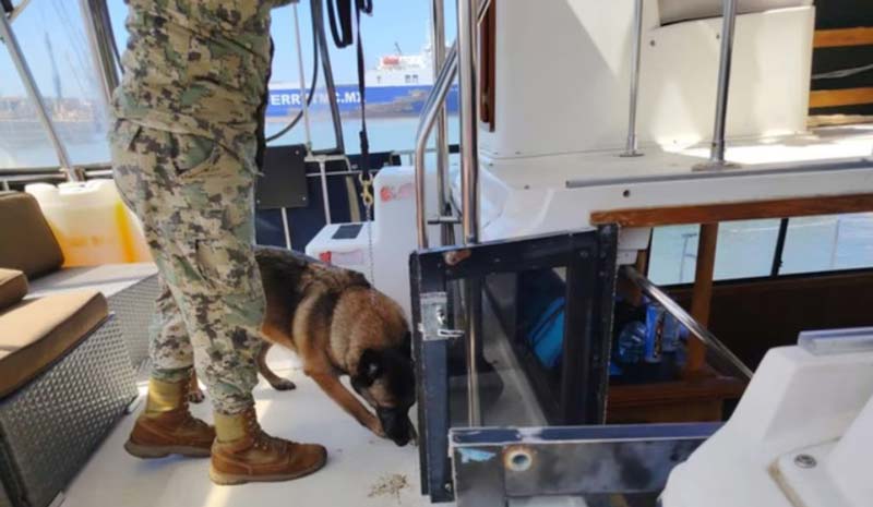 Binomio canino de la Semar inspeccionando una de las embarcaciones.
