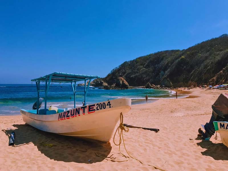 Descubre Mazunte: playas, historia y costos del destino más bohemio de Oaxaca