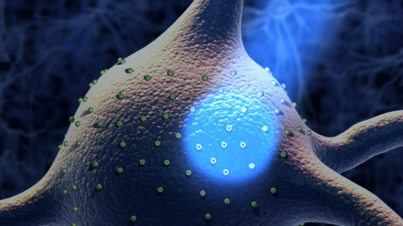 La optogenética combina genética y luz para controlar con precisión la actividad de células específicas.