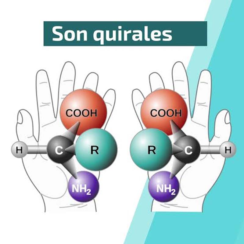 La quiralidad es la propiedad de una molécula de no poder superponerse con su imagen reflejada en un espejo, mientras que la organocatálisis asimétrica permite producir enantiómeros mediante el uso de catalizadores orgánicos.