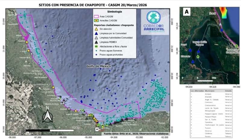 Pescadores denuncian inacción y versiones contradictorias tras desastre en el Golfo de México