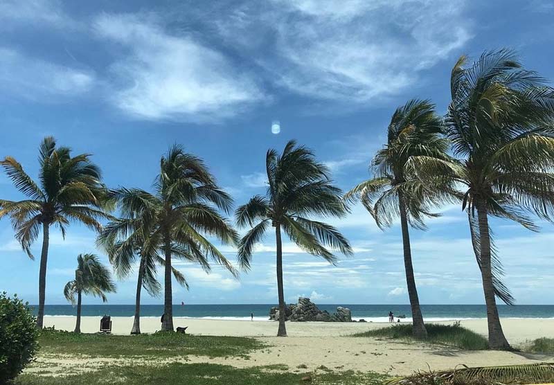 Playa Zicatela, Oaxaca: olas gigantes, atardeceres únicos y una vibra que no olvidarás