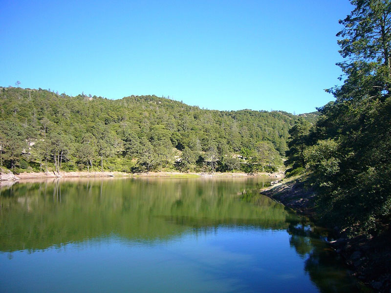 La Presa El Cedral, en Mineral del Chico, destaca por sus paisajes boscosos, actividades acuáticas y opciones de aventura.