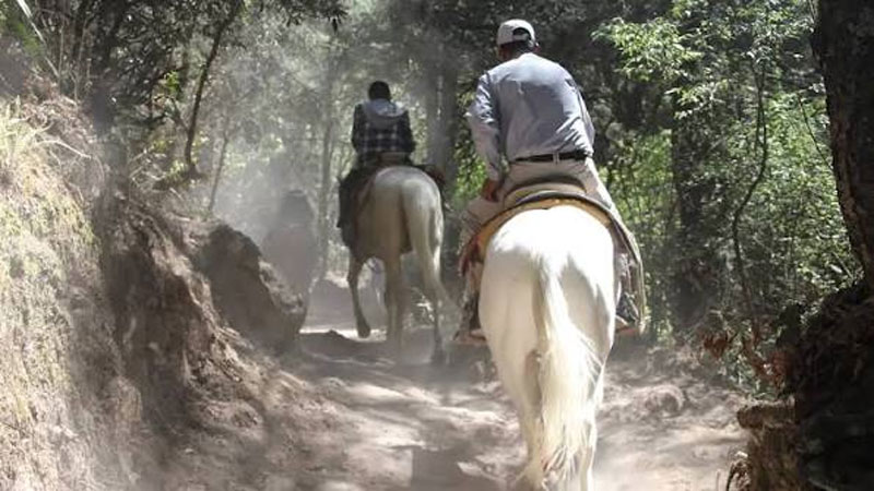 Los visitantes pueden disfrutar de paseos a caballo por los paisajes boscosos de la Presa El Cedral, en Mineral del Chico, Hidalgo.