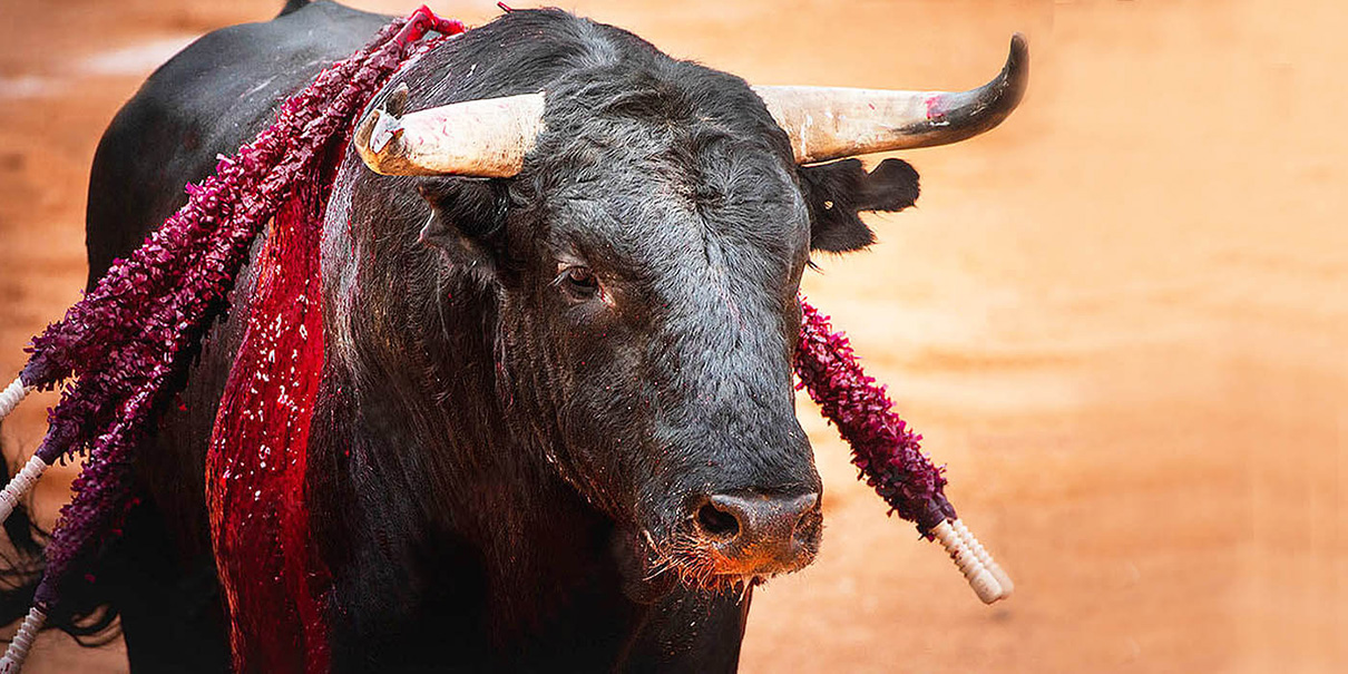 Jueza prohíbe instrumentos de tortura en la Plaza de Toros México