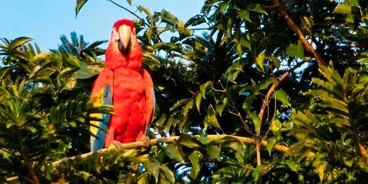 Reserva Ecológica Nanciyaga