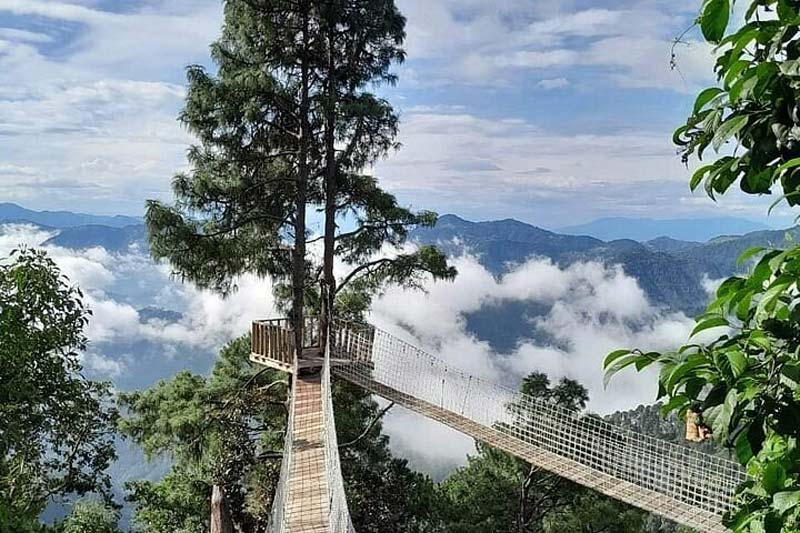 San José del Pacífico, Oaxaca: el pueblo entre las nubes que debes visitar al menos una vez en la vida