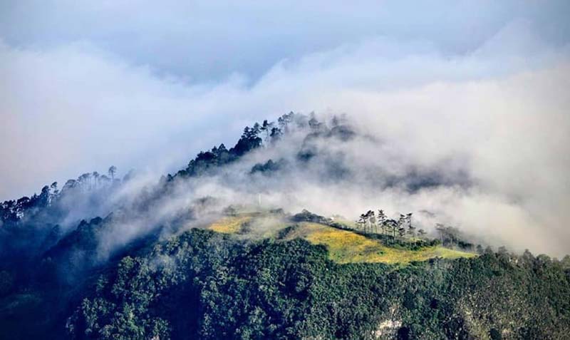 San José del Pacífico, Oaxaca: el pueblo entre las nubes que debes visitar al menos una vez en la vida