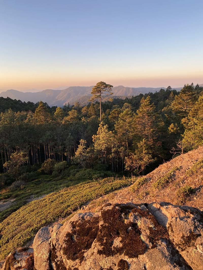 Cabañas ecológicas en la región de la Sierra Juárez