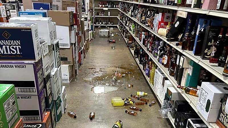 Mapache borracho entra a licorería y termina su fiesta tirado en el baño