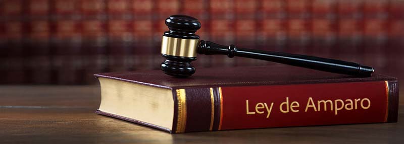 Ley de Amparo reformada: Senado aprueba cambios y turna el dictamen al Ejecutivo