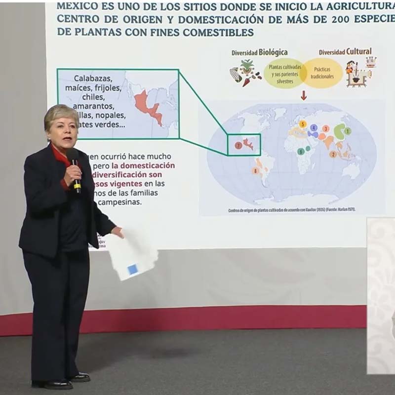 "Sin maíz no hay país" será programa de gobierno: Sheinbaum impulsará maíces nativos