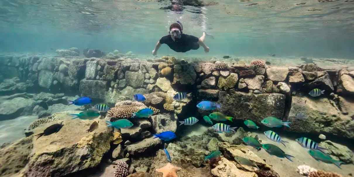 Snorkel en Playa Las Gatas