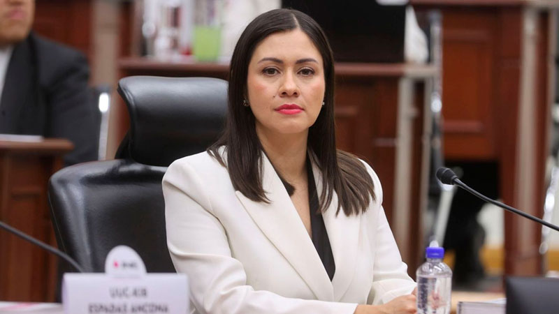 Blanca Yassahara Cruz García, presidenta provisional del INE, confirmó las nuevas renuncias durante la reorganización del organismo electoral.