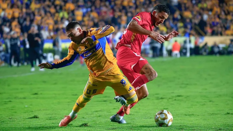 tigres