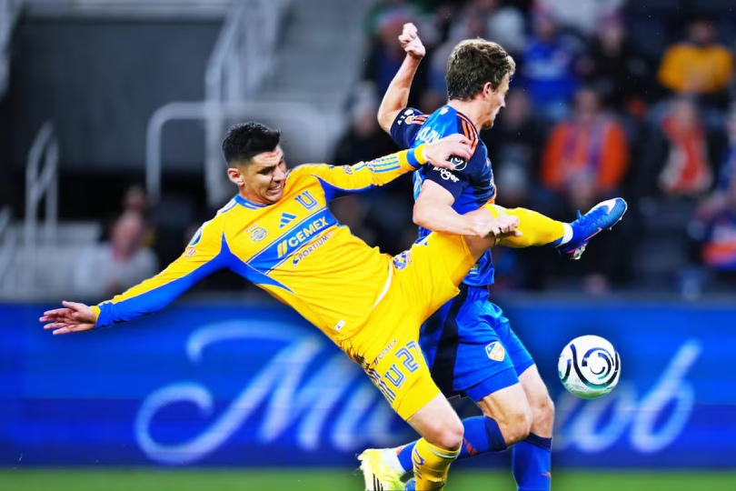 tigres