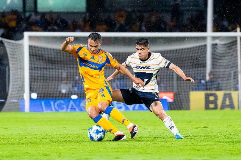 tigres