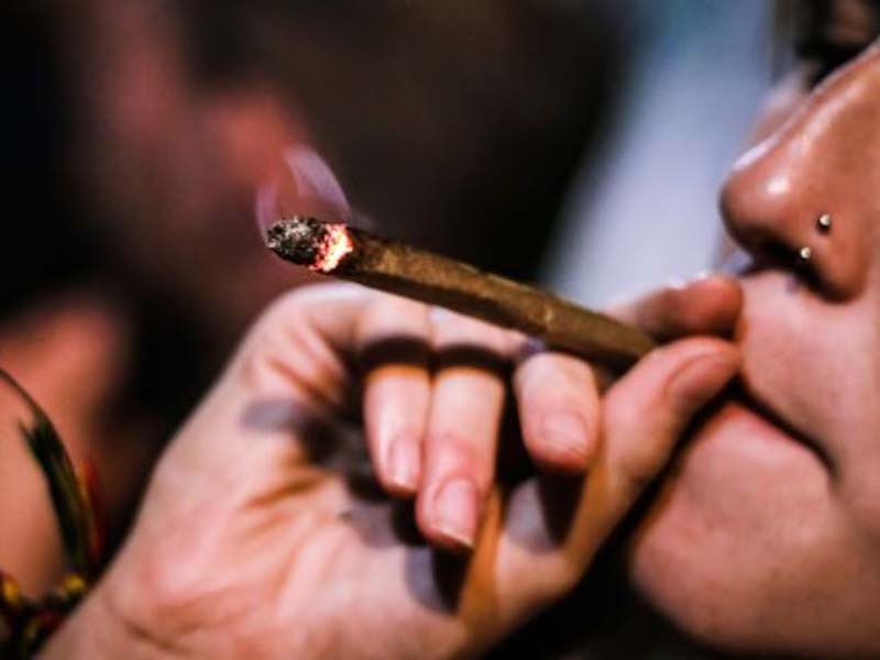 Orden de Trump reduce restricciones al cannabis y abre paso a la investigación médica