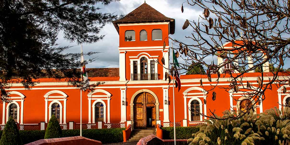 Bosque de los Árboles de Navidad 