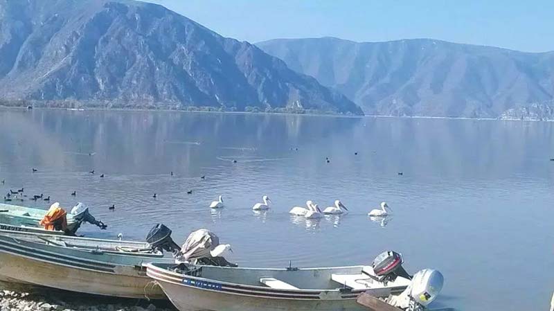 La Laguna de Metztitlán destaca por su importancia ecológica y por formar parte de la Reserva de la Biosfera.