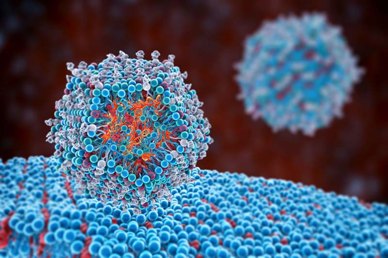 México fabricará vacunas de última generación contra Covid, dengue y cáncer
