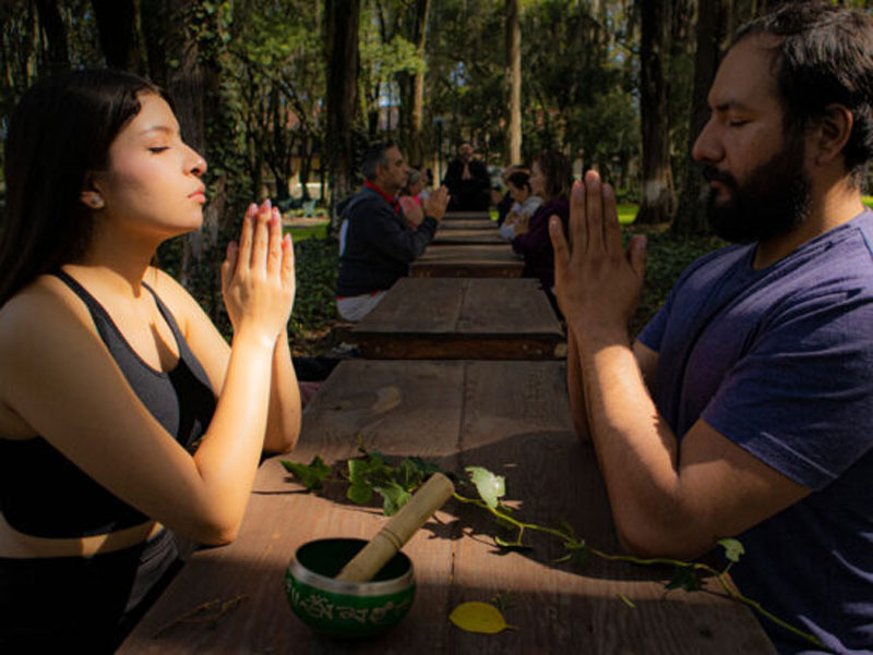 La Hacienda de San Miguel Regla ofrece actividades de bienestar y recreación, como yoga, meditación, caminatas y tiro con arco.