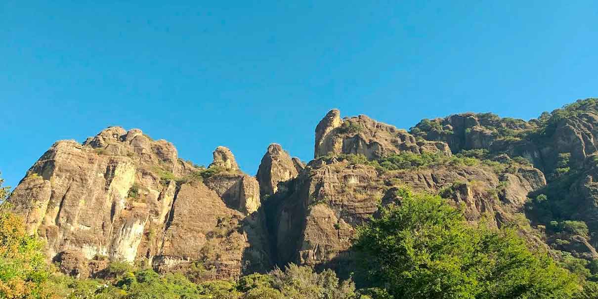 Los Venaditos