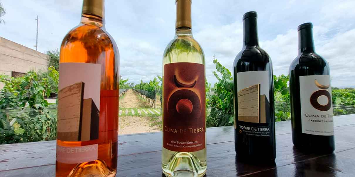 Tipos de vino