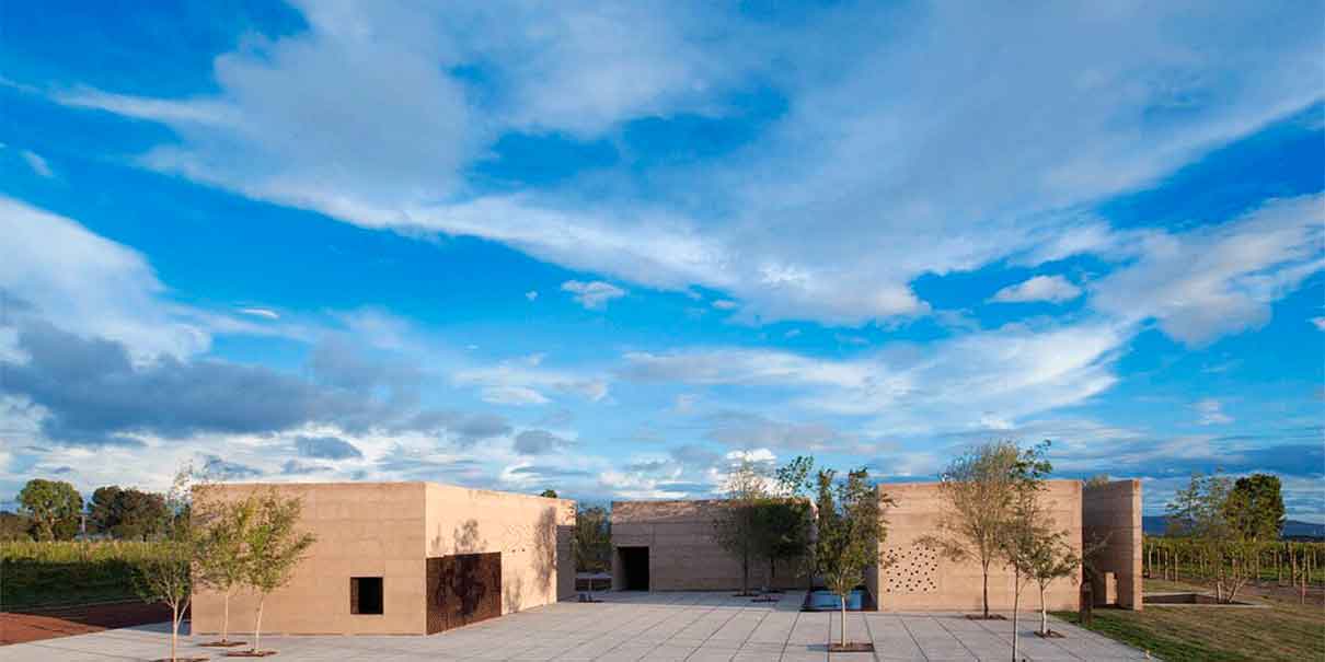 Viñedo Cuna de Tierra