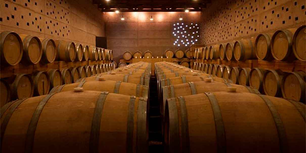 Bodega con barriles