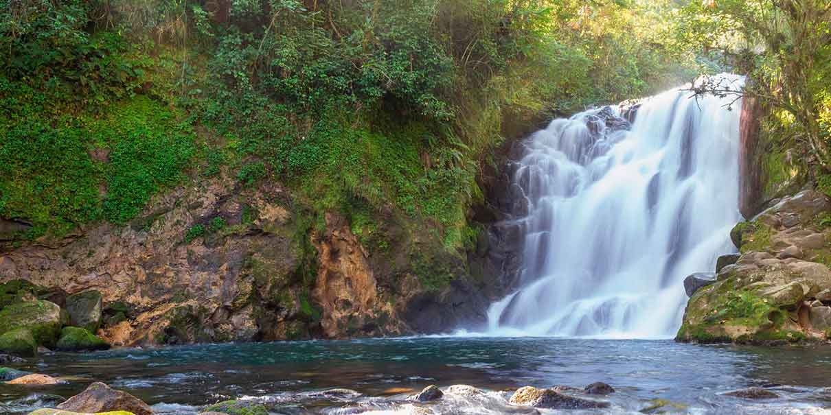 Cascada monja