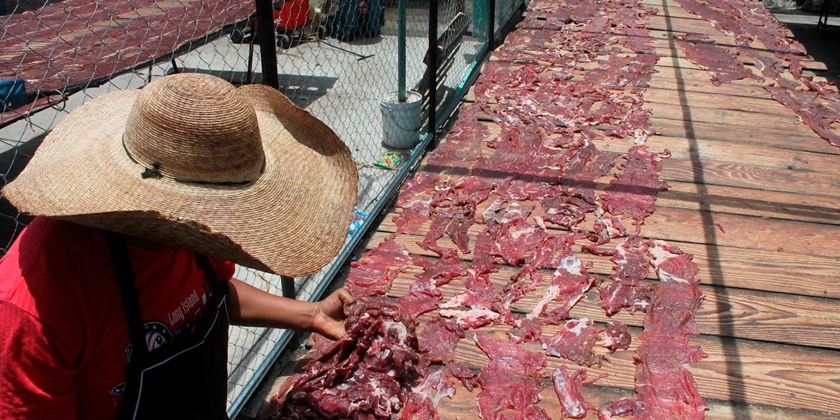 Cecina