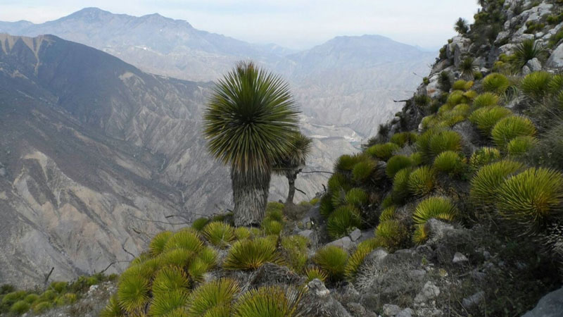 Parque Nacional los Mármoles.