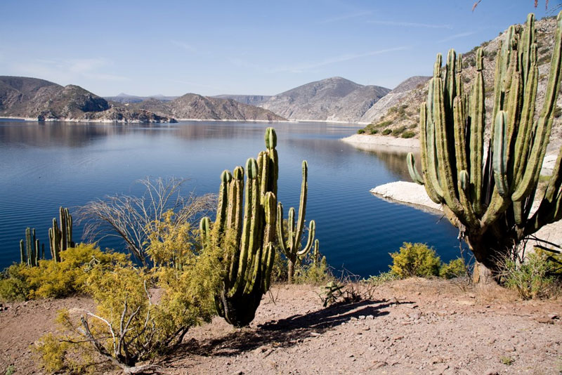 Presa Zimapán.