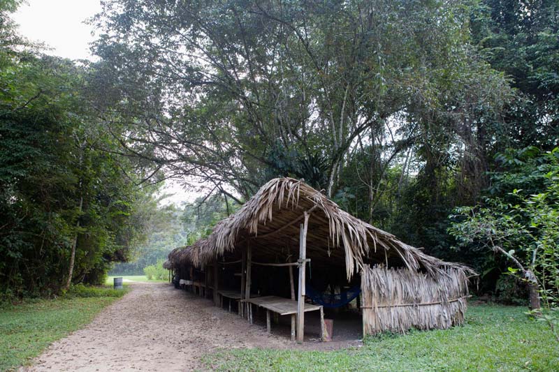 Zona Arqueológica de Bonampak: el destino en Chiapas que revela lo que otros sitios mayas ocultan