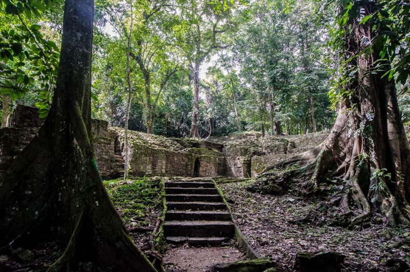 Zona Arqueológica de Palenque: el tesoro maya en la selva de Chiapas que debes conocer