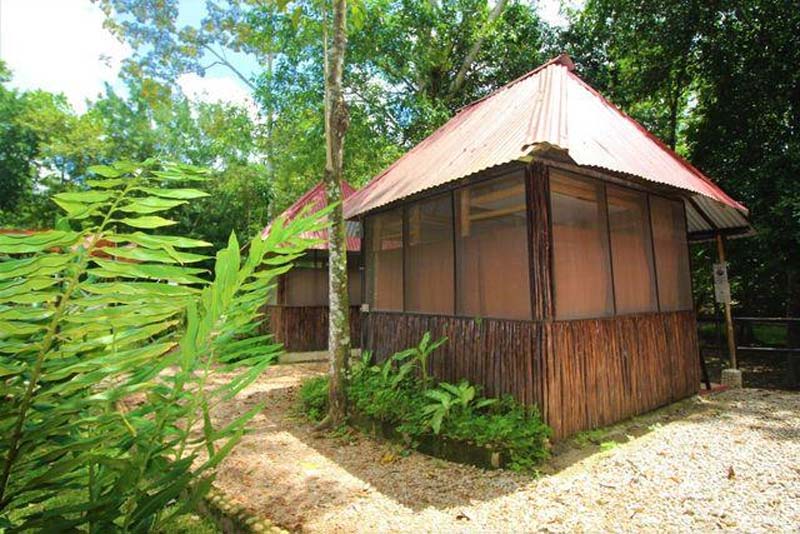 Zona Arqueológica de Palenque: el tesoro maya en la selva de Chiapas que debes conocer
