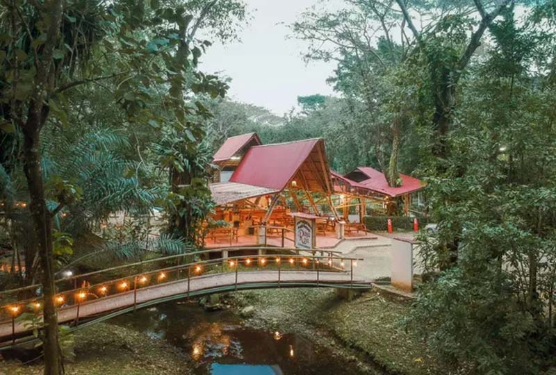 Zona Arqueológica de Palenque: el tesoro maya en la selva de Chiapas que debes conocer