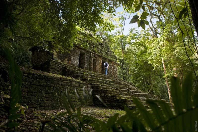 Zona Arqueológica de Yaxchilán: la asombrosa ciudad maya en la selva de Chiapas accesible por el río Usumacinta