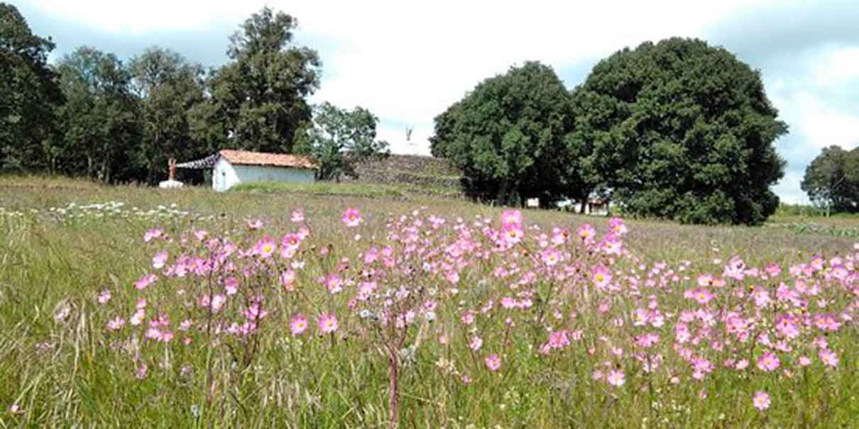 Zona Arqueológica de Huamango