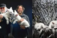 ¿Volvieron los lobos huargos? La verdad detrás de Rómulo, Remo y Khaleesi